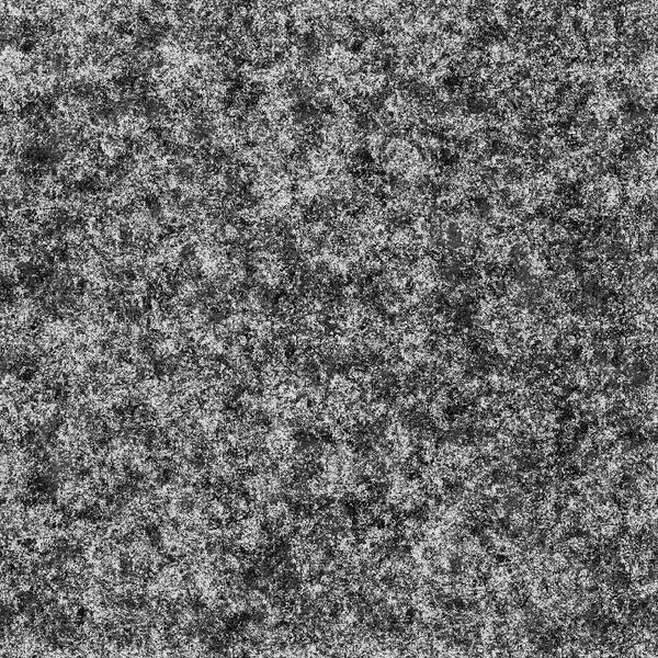 Holiday Splendor - Midnight Silver