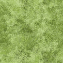 Vestige - Fern Vestige