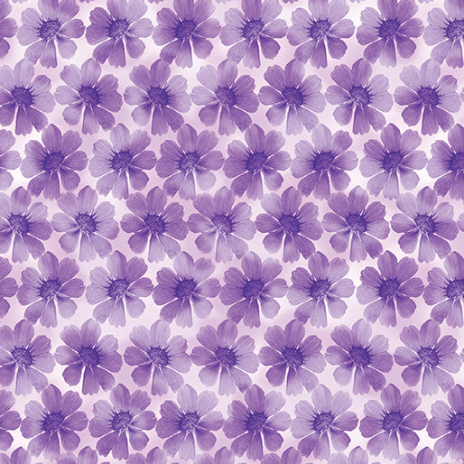Potpourri - Purple Blossoms