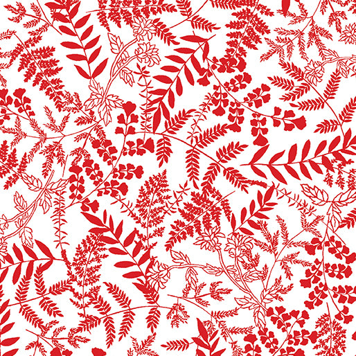 Red Rhapsody - White/Red Fern Garden