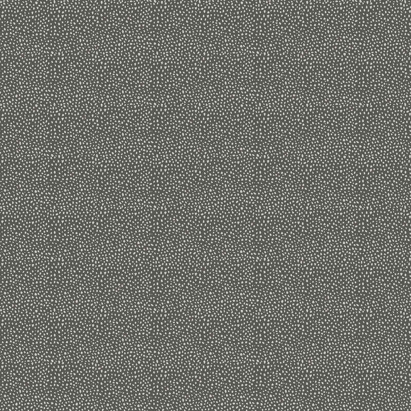 Wild One - Dark Gray Dots