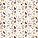 Paws & Play Cream Cats