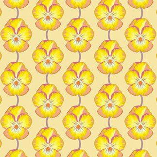 Iconic - Yellow Pansies