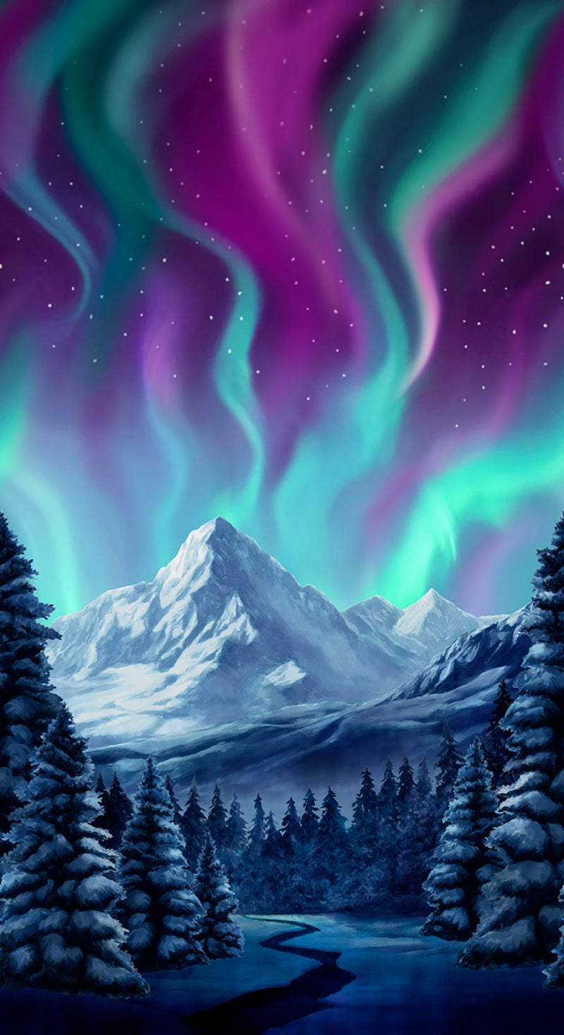 Northern Lights Panel