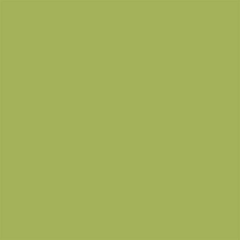 Colorworks Premium Solid - Kiwi